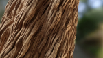 Fantasy Tree Bark Brown - Substance Designer