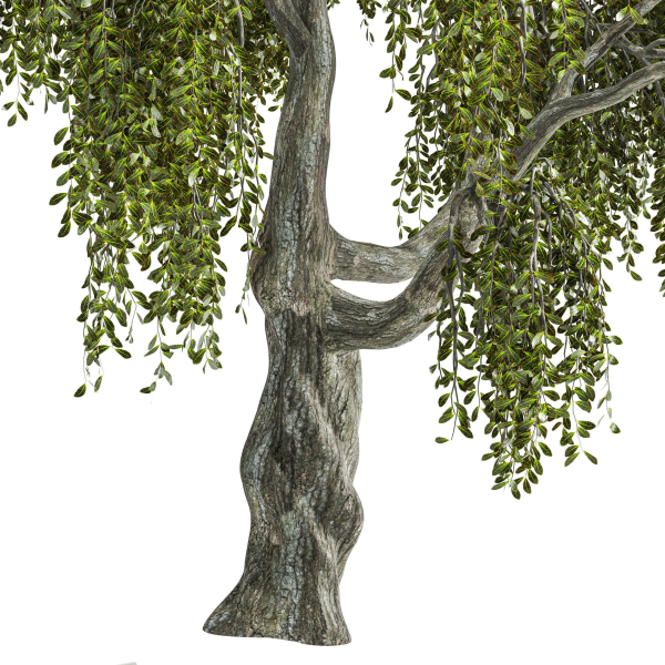 Fantasy weeping tree