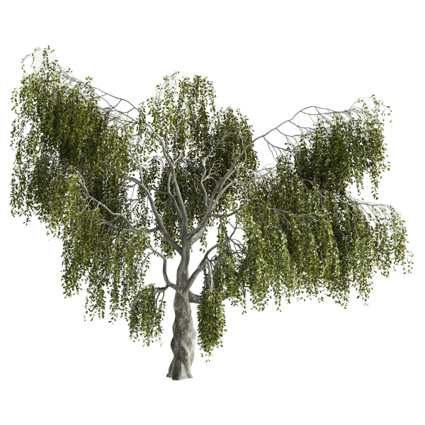 Fantasy weeping tree
