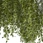 Fantasy weeping tree