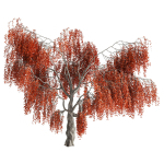 Fantasy weeping tree