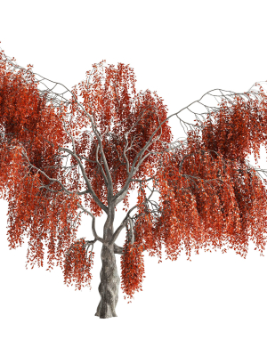 fantasy-weeping-tree-3d-model-85cef2ab3d