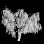 Fantasy weeping tree