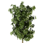 Faux Foliage Tree in Pot