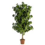 Faux Foliage Tree in Pot