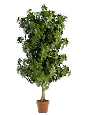 Faux Foliage Tree in Pot