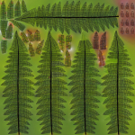 Fern Dryopteridaceae  VFX Grace