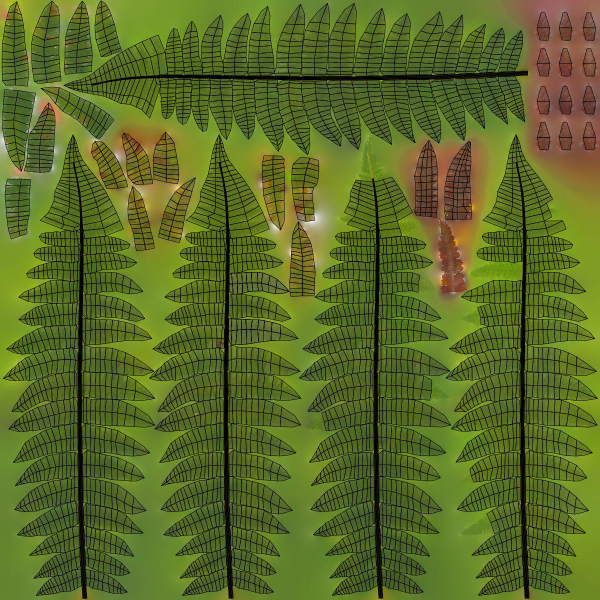 Fern Dryopteridaceae  VFX Grace