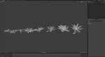 Fern Dryopteridaceae  VFX Grace