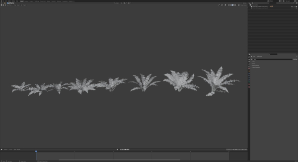 Fern Dryopteridaceae  VFX Grace