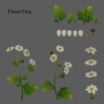 Feverfew stylized plant