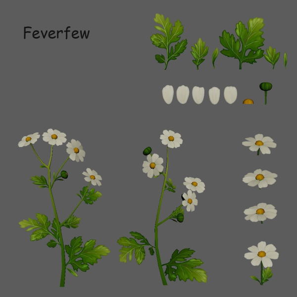 Feverfew stylized plant