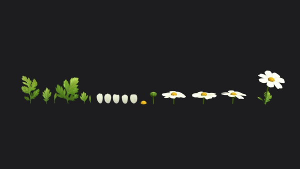 Feverfew stylized plant
