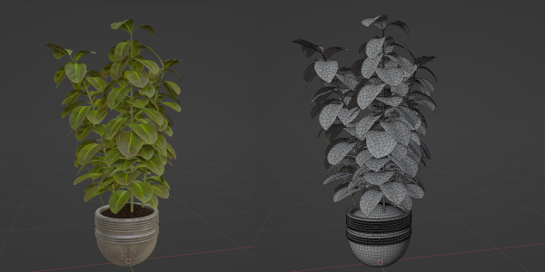 Ficus elastica plant vol 126-Blender