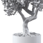 Ficus Microcarpa in Steel Planter