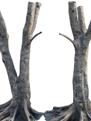 ficus-tree-trunk-13-3d-model-2924e68c11