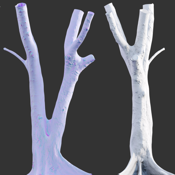 Ficus Tree Trunk 13