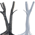 Ficus Tree Trunk 13