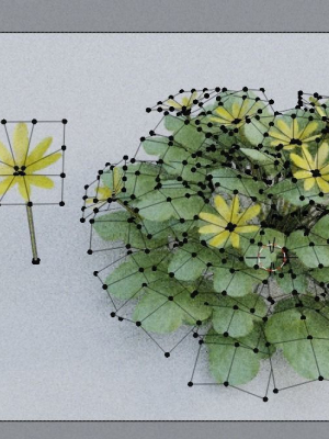 fig-buttercup-spring-flower-3d-model-low-poly-obj-fbx-blend-dae-gltf