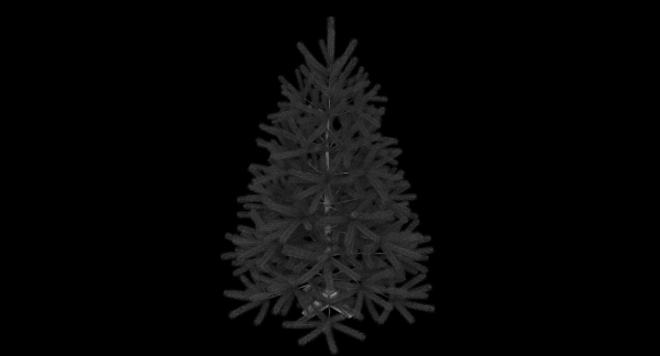 Fir Tree