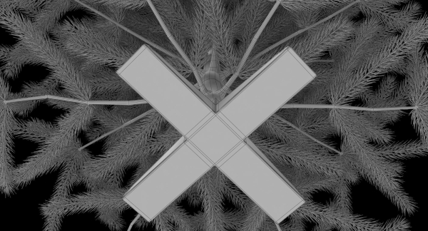 Fir Tree