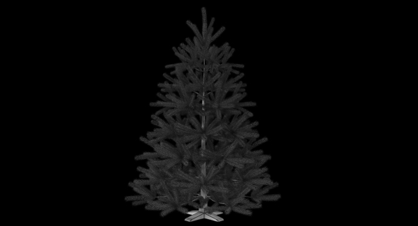 Fir Tree