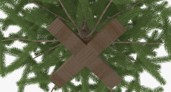 Fir Tree
