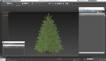 Fir Tree