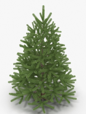 fir-tree-3d-model-dfaad44642