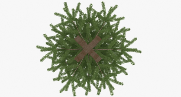 Fir Tree