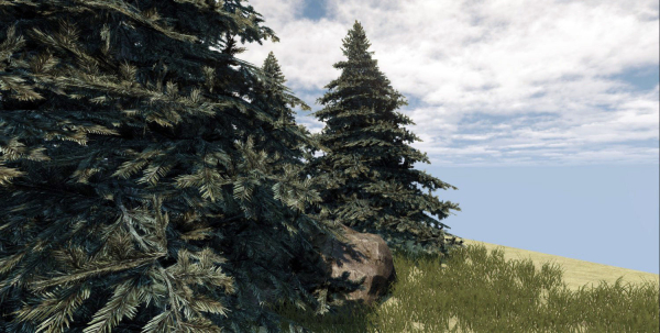 Fir Tree