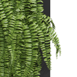 Fitowall 01