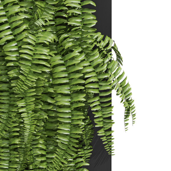 Fitowall 01