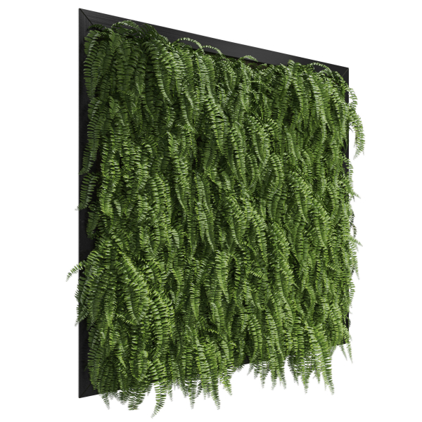 Fitowall 01