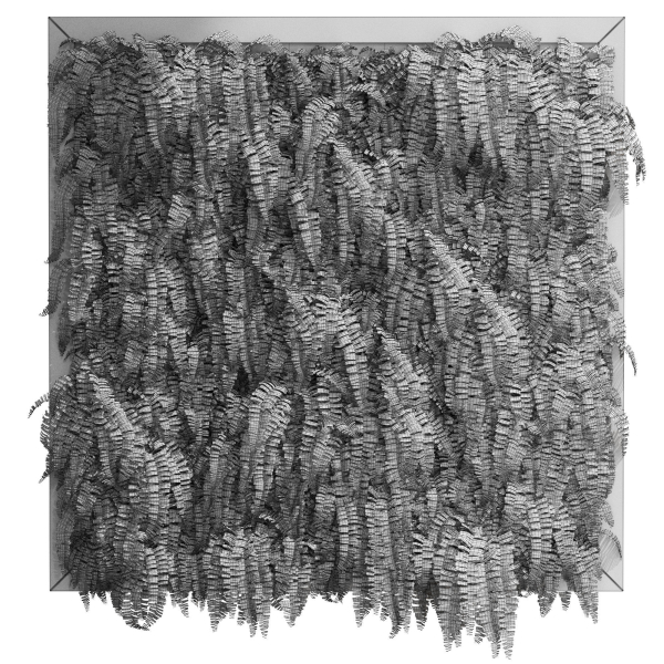 Fitowall 01