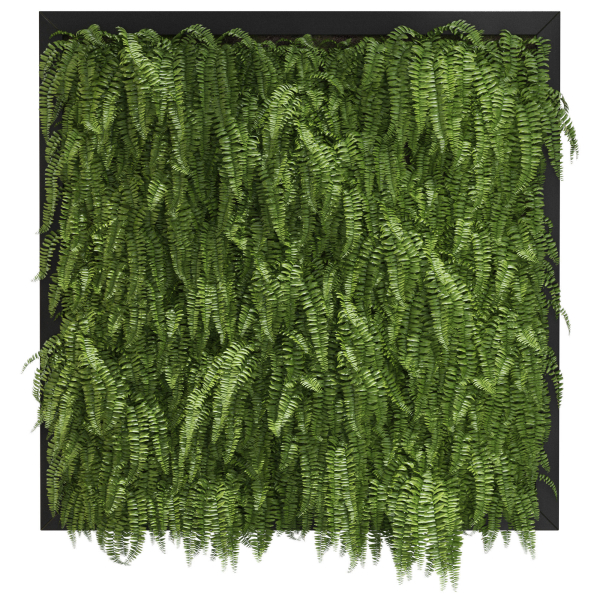 Fitowall 01