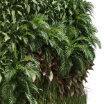 Fitowall 02