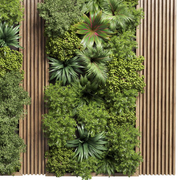 Fitowall Wood frame Vertical graden wall decor bax