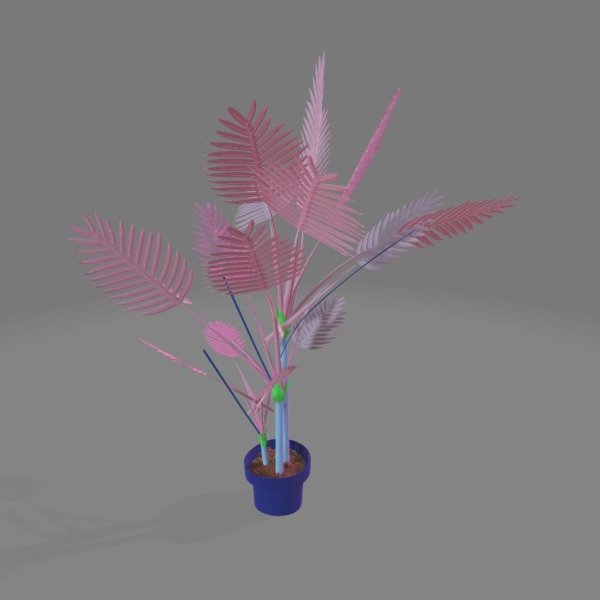 Floor Palm Tree in Pot