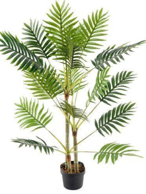 Floor Palm Tree in Pot