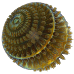 Floors spiral shell made of glass and metal