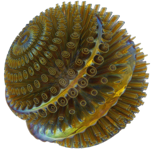 Floors spiral shell made of glass and metal