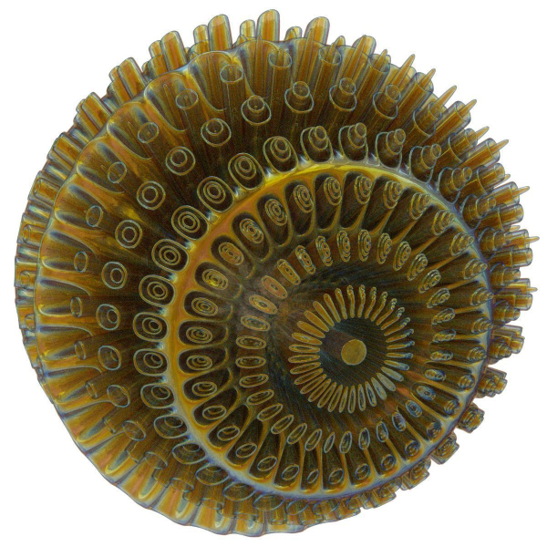 Floors spiral shell made of glass and metal