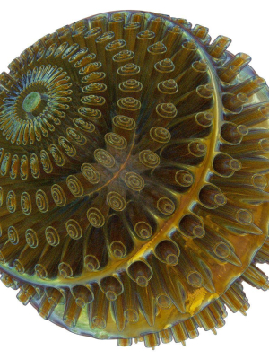 Floors spiral shell made of glass and metal