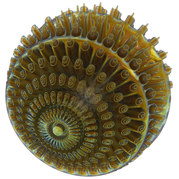 Floors spiral shell made of glass and metal