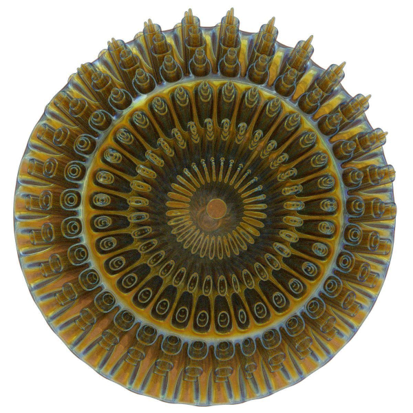 Floors spiral shell made of glass and metal