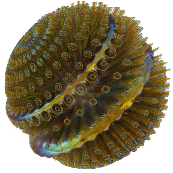 Floors spiral shell made of glass and metal