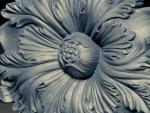 FLORAL PATTERN