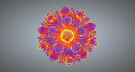 FLORAL PATTERN