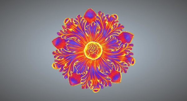 FLORAL PATTERN